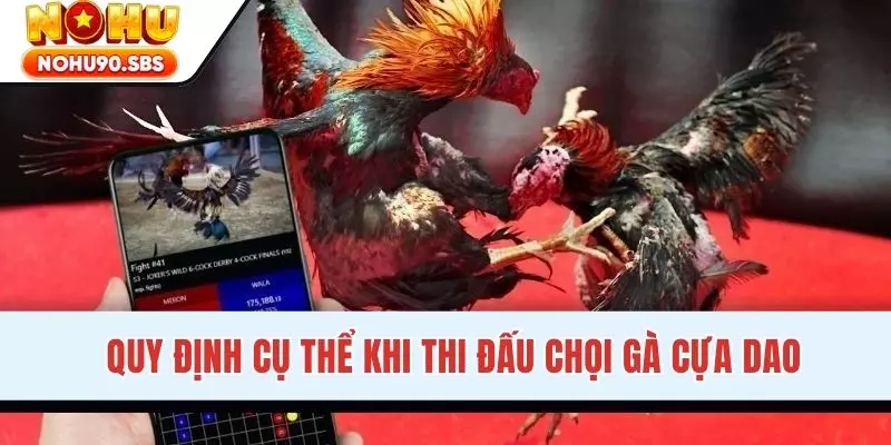 Quy định cụ thể khi thi đấu chọi gà cựa dao
