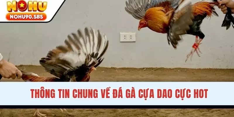 Thông tin chung về đá gà cựa dao cực hot